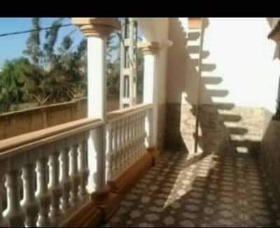 received_1737653546616468