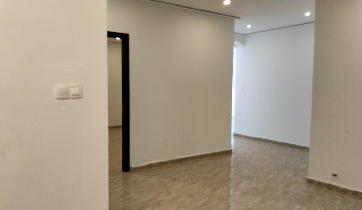 IMG20230304114010 (1)